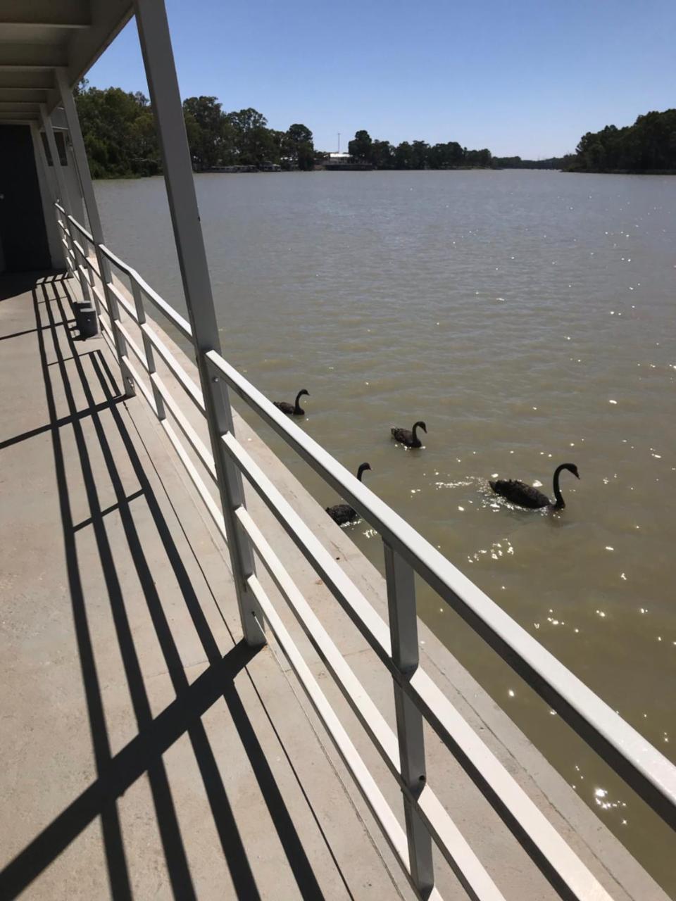 Hôtel Murray River Queen à Renmark Extérieur photo